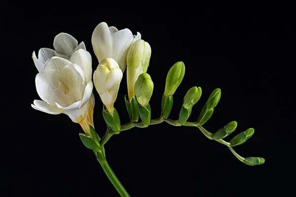 跨境电商新生态 保险科技新媒体