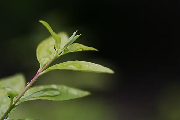 超级玛丽好到让你无法拒绝！千万别错过