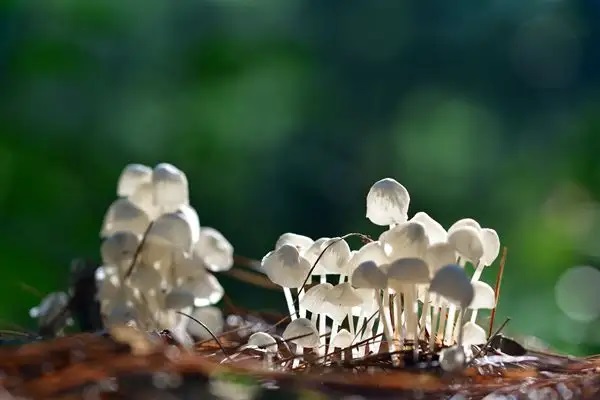 “滴滴”网约车撞人，保险公司拒赔，而法院判司机赔145万！