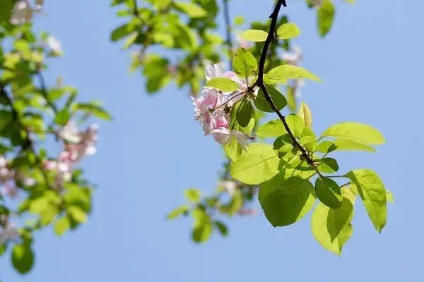 实习期上高速发生事故，保险公司拒赔，法院怎么判？