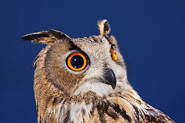 保险的改革会给你带来什么？