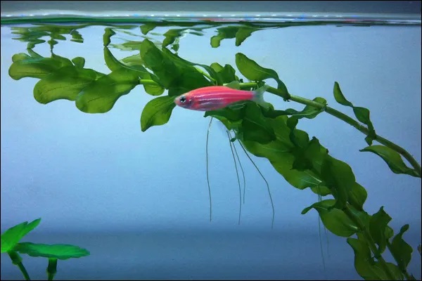 致7080后，欢迎来到“保险公司不欢迎你”行列