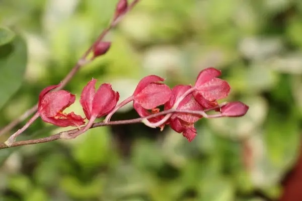 高收入人群购买人寿保险应该避免哪些误区？