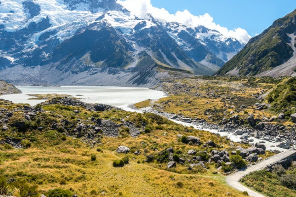 对不起，拒保！为啥？医生说没事，复查就好！