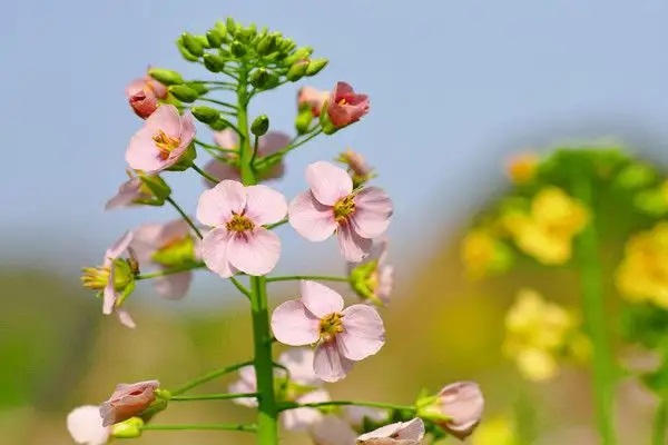 医保卡余额如何查询？