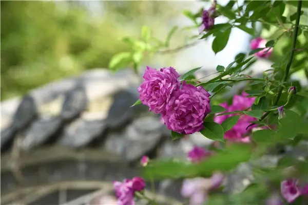 分享 | 这个拒保太"奇葩"！