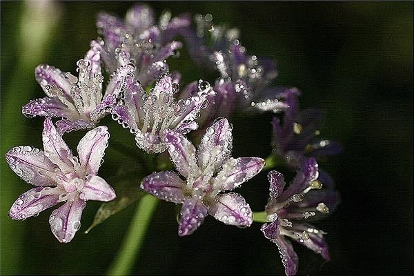 员工受工伤之后单位买的员工意外险，可以享受工伤待遇吗？