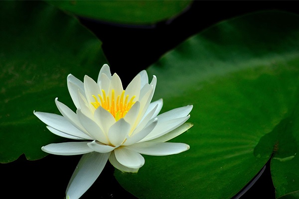 社保一卡通实现了哪些新功能？