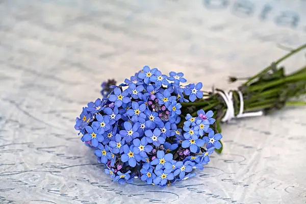 短期意外险与长期意外险有何区别