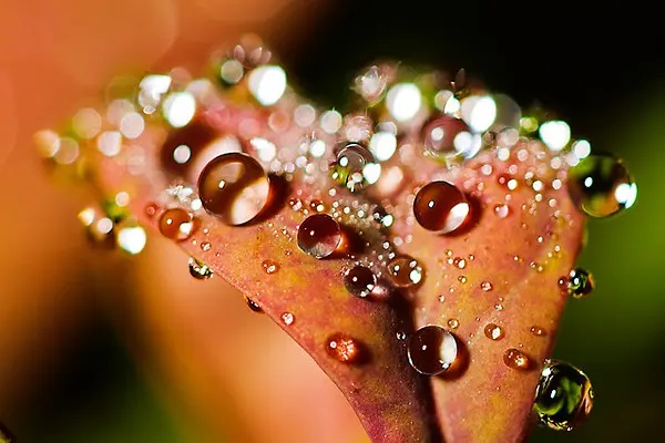 覆盖12种慢性病的医疗制度即将实施，你开心吗？