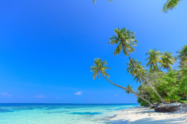 国家医保局来辟谣啦~