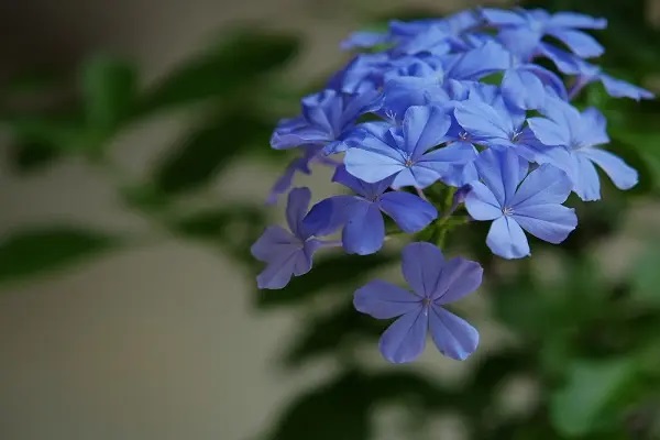 失业保险金标准条件提高让人望而却步？