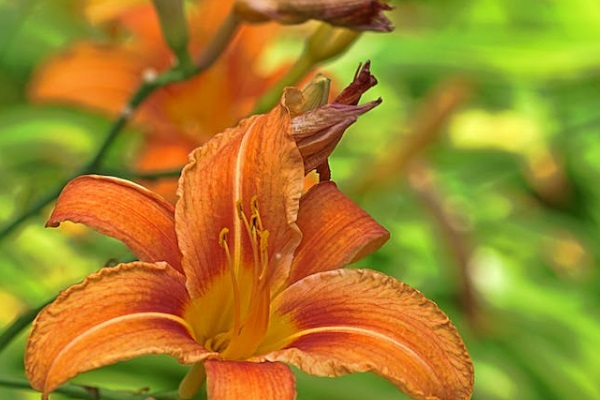 住房公积金如何查询