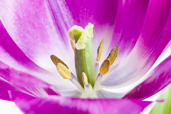 常州市住房公积金贷款有了新政，还不来看看