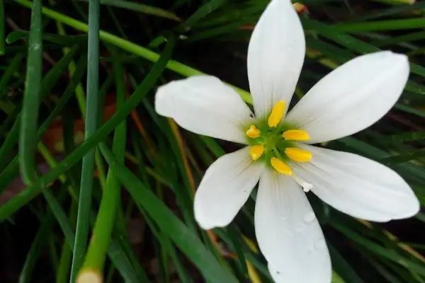 住房公积金贷款计算器?你可能连公积金贷款都不了解