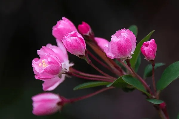 住房公积金贷款额度具体如何计算