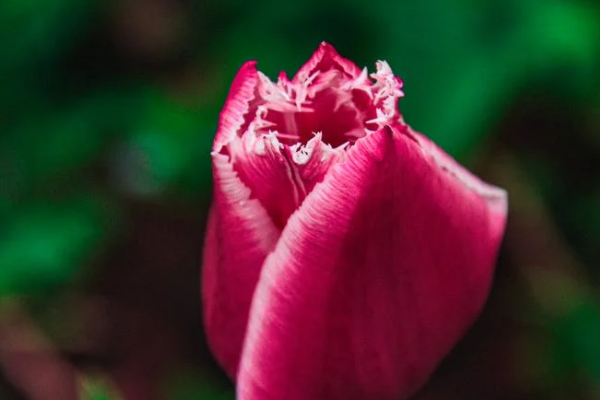 工伤保险药品目录的具体内容