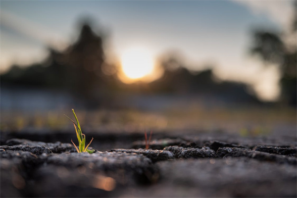 工伤保险政策最新的相关内容