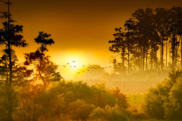 到香港买保险将不合法？别杞人忧天了