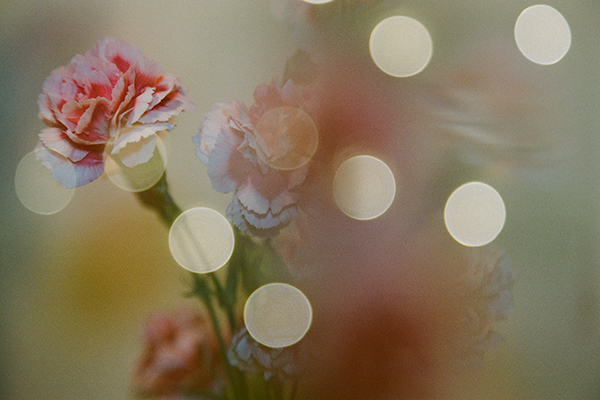 华安的财产保险理赔纠纷案，以此为鉴