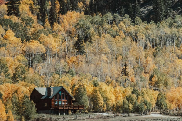 同方全球同佑e生能不能买？值不值得托付！