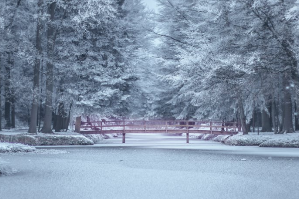 中国人保车险续保注意事项！