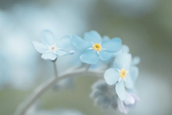 新华人寿保险理赔案件分析，保险理赔到底有多难？