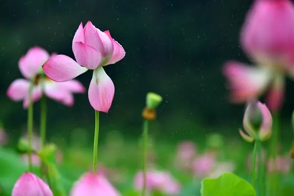 为什么国内保险人总爱说“香港保险理赔难”？