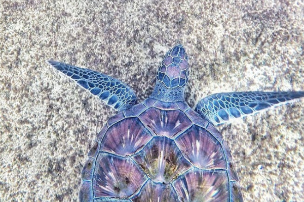 个人社保信息查询方式有哪些？查询不到怎么回事？