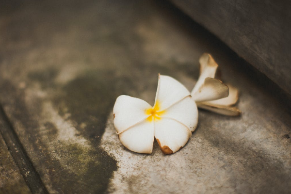 欣享人生住院在我们的生活当中带来的便利