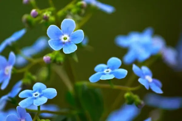 欣享人生续保相关问题给年轻人一份安心的保障