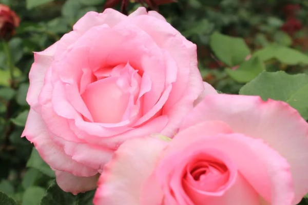 保险公司的利润来源有哪些？谁是利润大头？我们该选择什么样的保险？