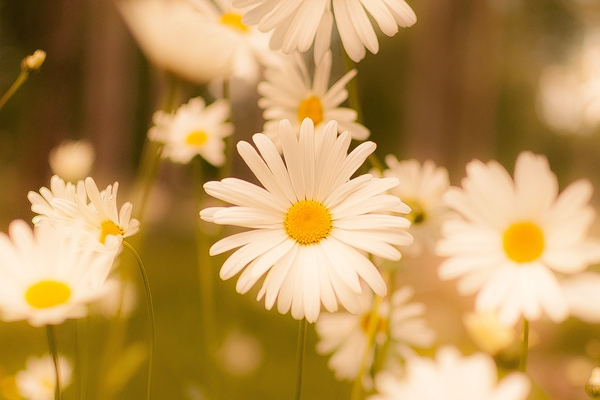 寿险公司保险营销管理改革的趋势！