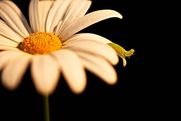 异地投保靠谱吗？理赔难不难？