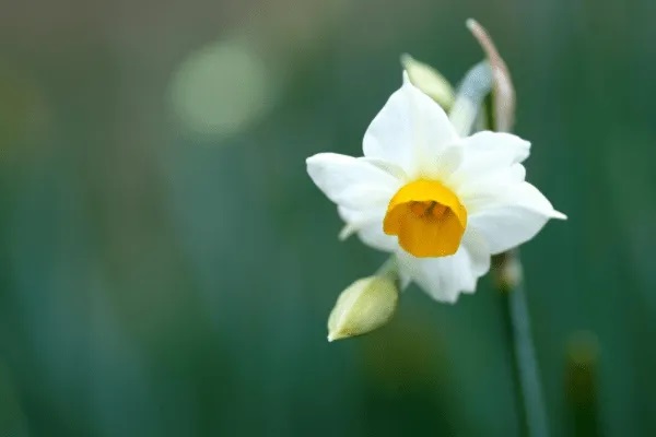 瑞华康惠保2019对比百年康惠保旗舰版哪个好？哪个更值得买？