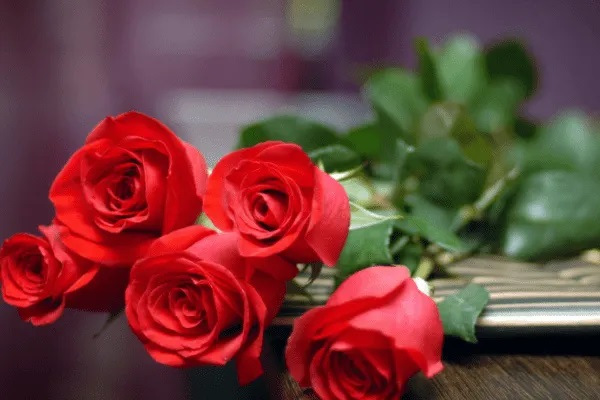 复星康乐一生C款怎么样？有什么保障？