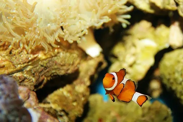 复星联合康乐一生怎么样？有什么优缺点？