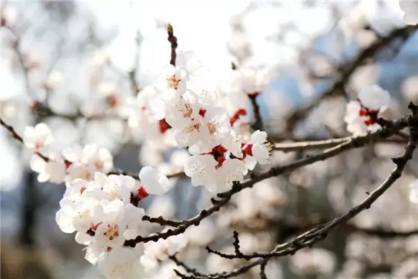 昆仑康爱保怎么样？值得买吗？