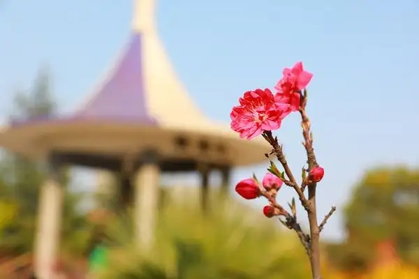 玺越人生与聚宝盆、 2018平安开门红和太保怎么样？哪个更值得购买？