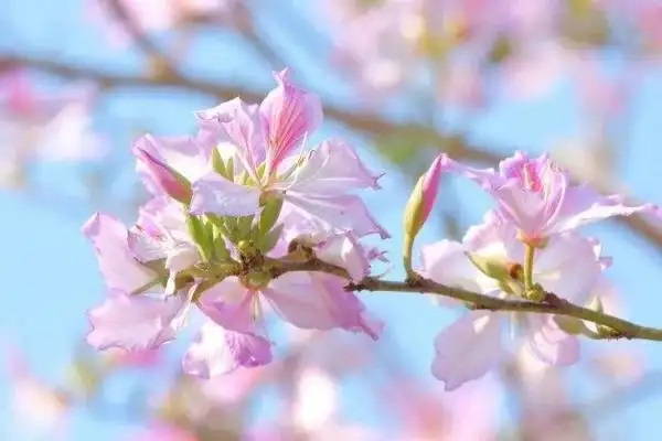 太平人寿关爱今生和福禄康逸哪个好？性价比更高？