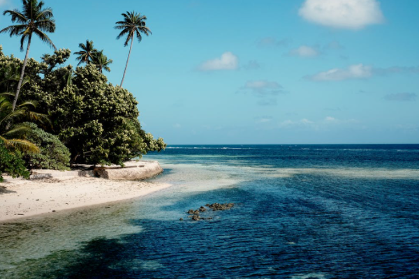 新华健康无忧A、B、C重疾险怎么样？哪款比较好？