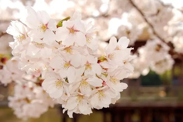 孕产阶段有哪些风险？怎么样降低孕妇风险？