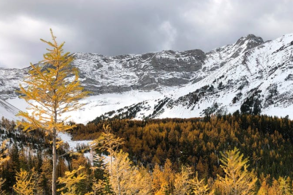 少儿险该如何选择？少儿能买哪些医疗险？