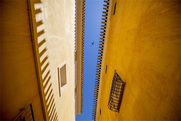 重疾险是不是买的越贵就越好呢？理赔也能更顺畅？